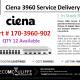 TELECOMCAULIFFE-PICS-Telecom-ForSale-Ciena-3960-170-3960-902