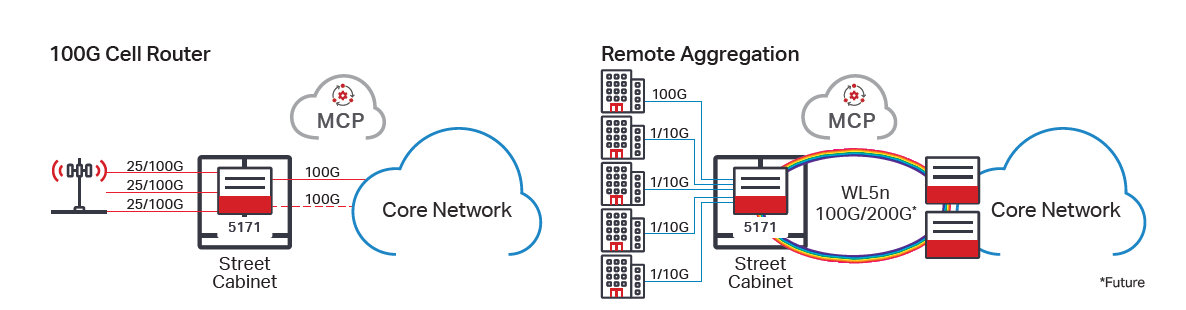 Ciena 5171- Outside service delivery and aggregation functions