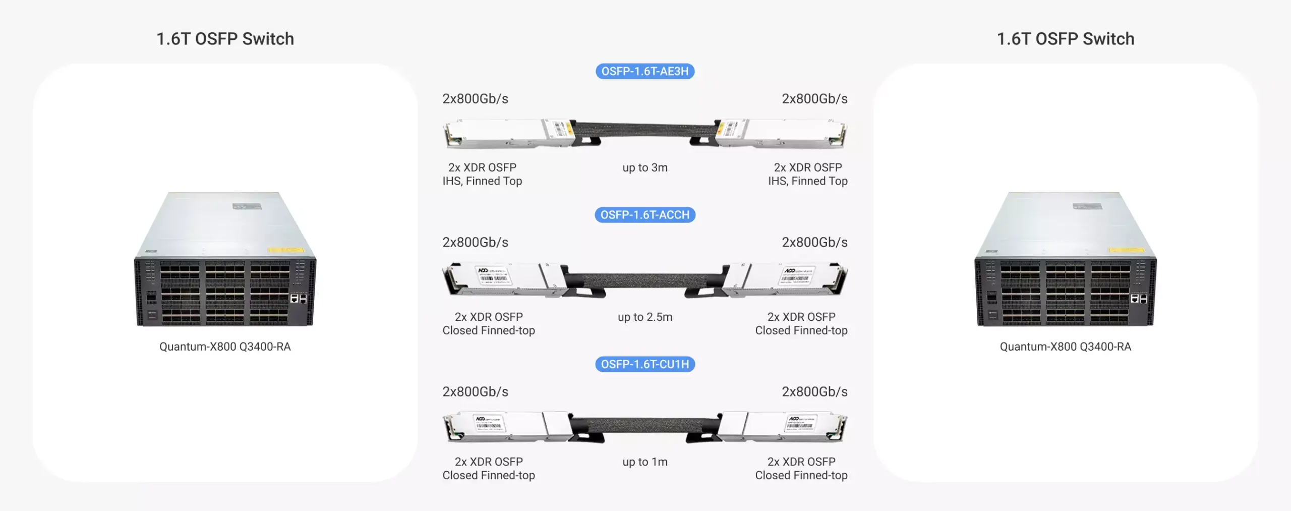 1.6T XDR Switch to 1.6T XDR Switch 2