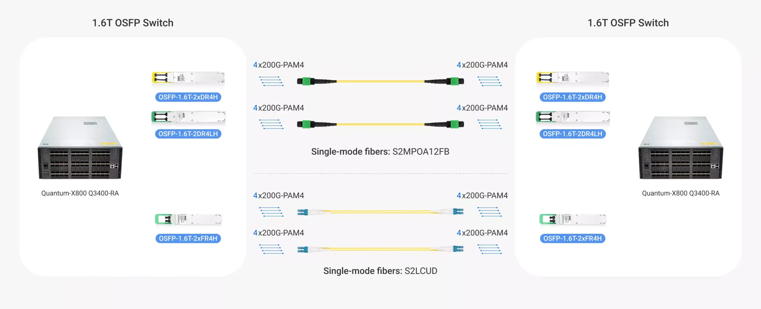 1.6T XDR Switch to 1.6T XDR Switch